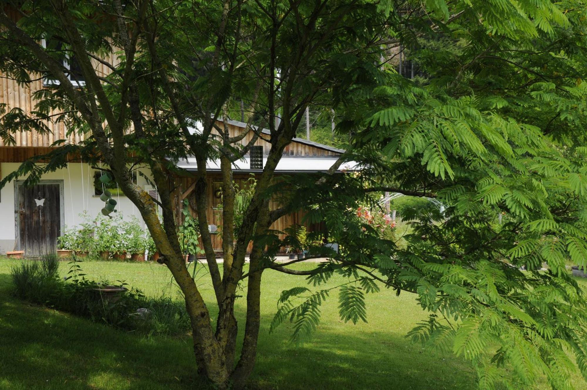 Das Stille Paradies Ledenitzen Exterior foto